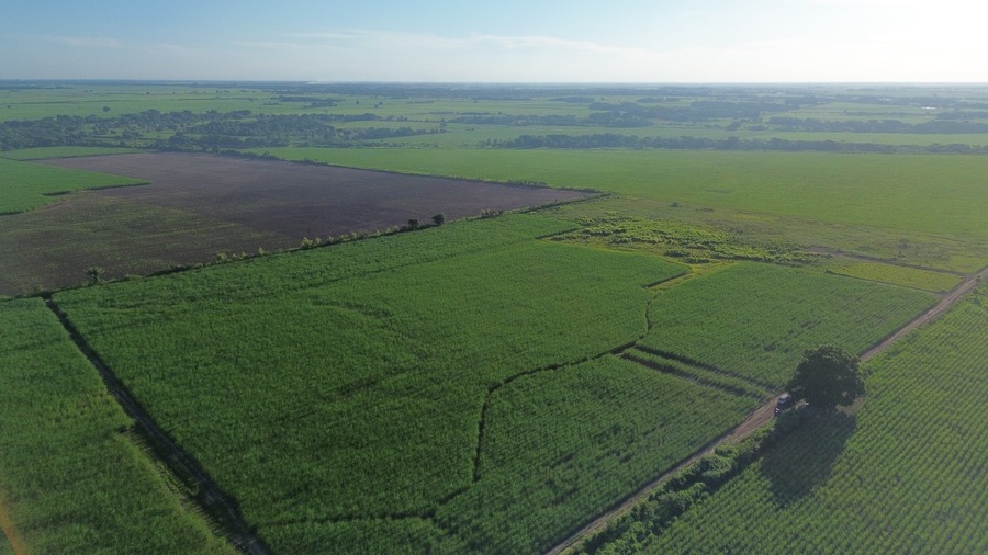 San Miguel La Estrella