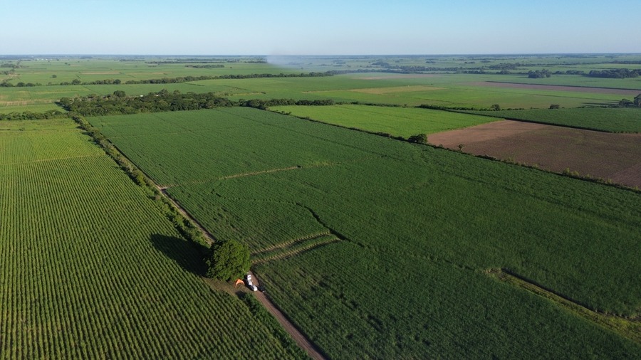 San Miguel La Estrella