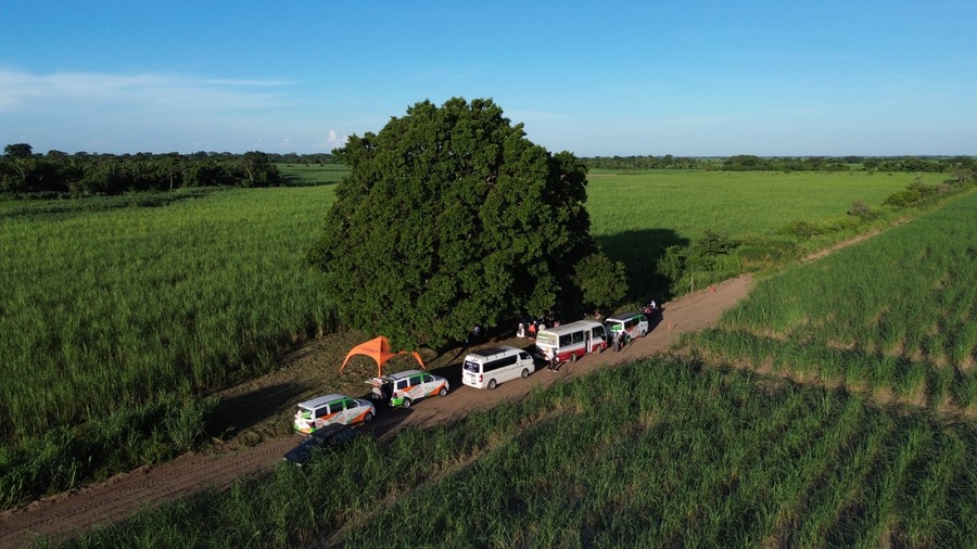 San Miguel La Estrella